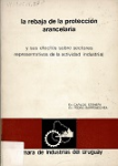 La rebaja de la protección arancelaria y sus efectos sobre sectores representativos de la actividad industrial vignette