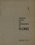 Situación actual del departamento de Flores vignette