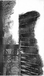 Salir del ropero vignette