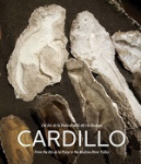 Cardillo: Del Río de la Plata al valle del Río Hudson vignette